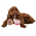 2-Pack Squeaky Plush Dog Toy (Cafe - Emery & Deja)