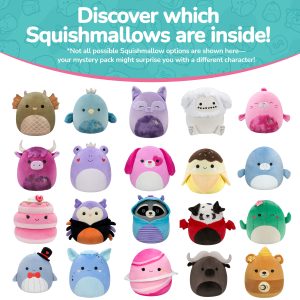 Mystery_Pack_-_12_inch_Squishmallows.jpg