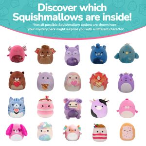 Mystery_Pack_-_5_inch_Squishmallows.jpg