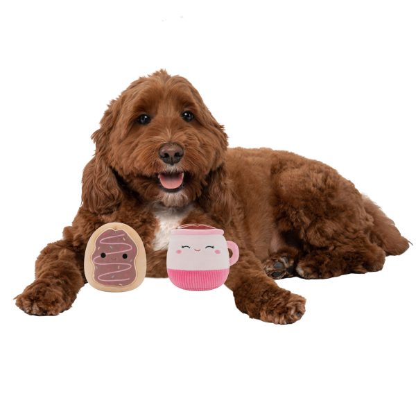 2-Pack Squeaky Plush Dog Toy (Cafe - Emily & Deja)